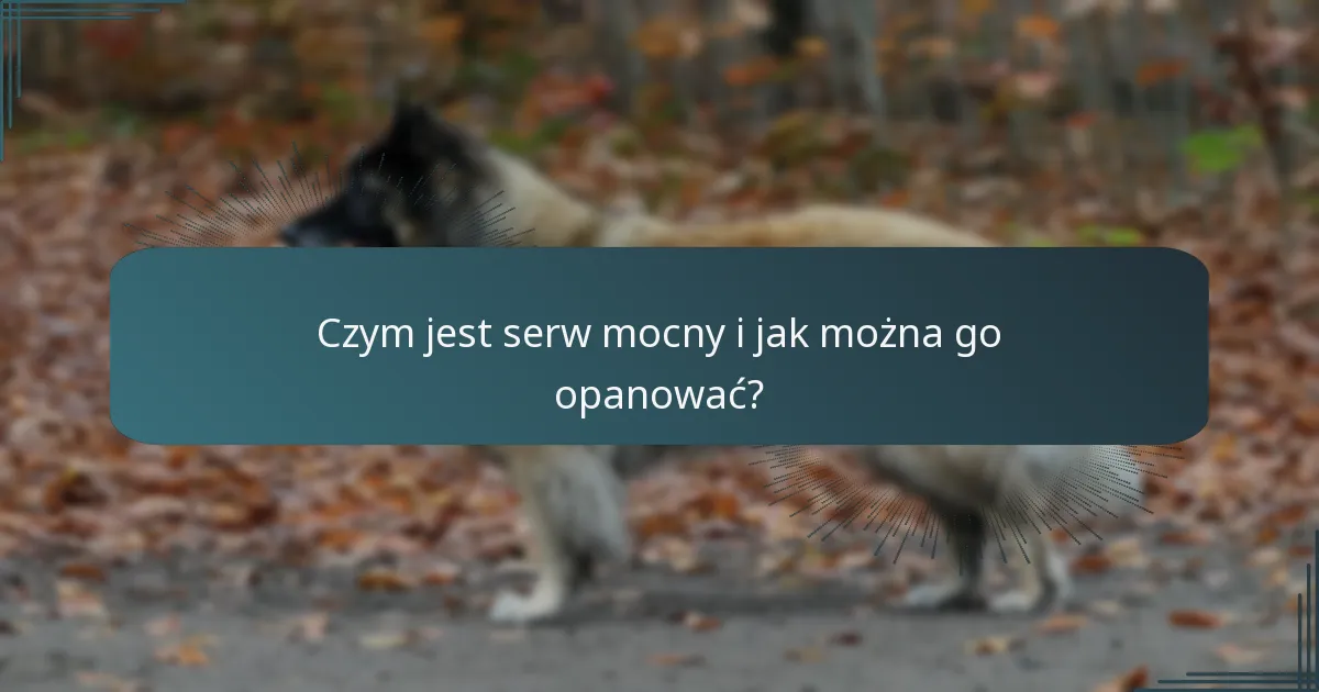 Czym jest serw mocny i jak można go opanować?