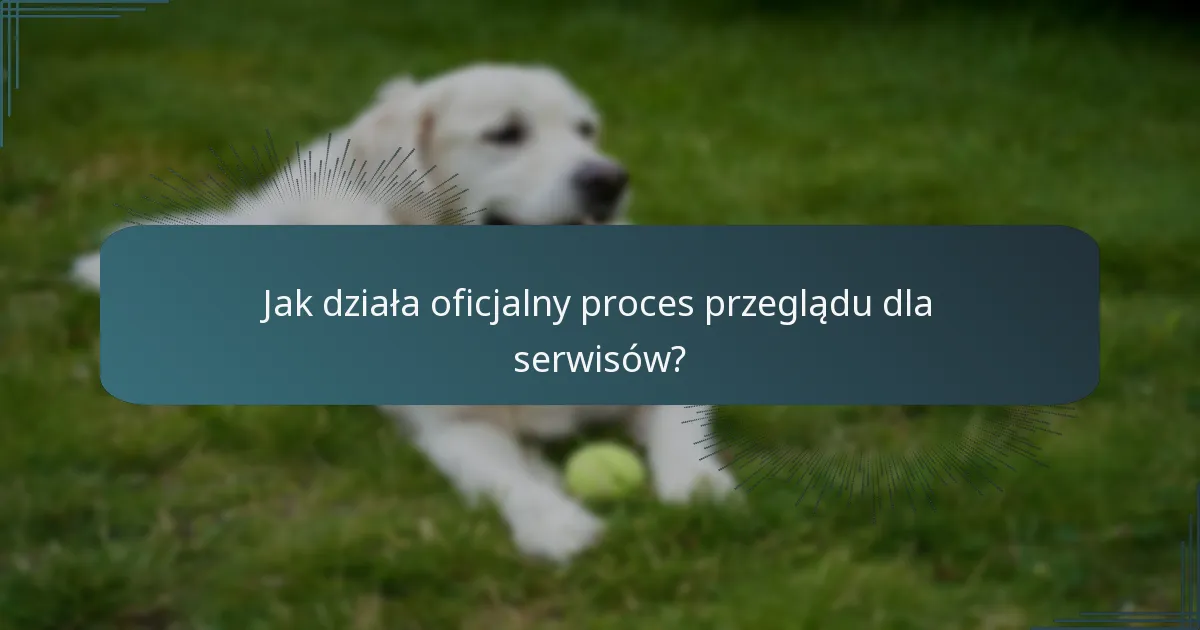 Jak działa oficjalny proces przeglądu dla serwisów?