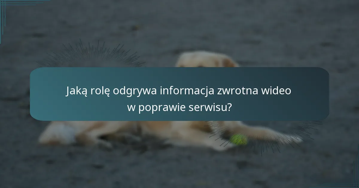 Jaką rolę odgrywa informacja zwrotna wideo w poprawie serwisu?