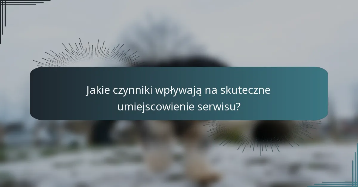 Jakie czynniki wpływają na skuteczne umiejscowienie serwisu?