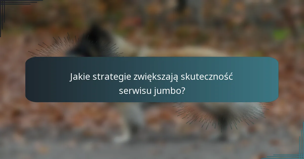 Jakie strategie zwiększają skuteczność serwisu jumbo?